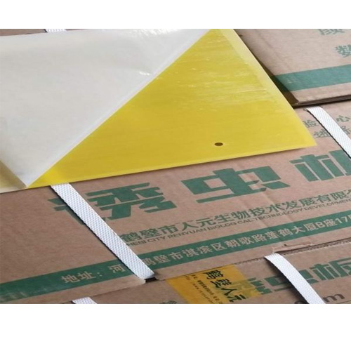 Pest glue trap--RYYC-20*25CM