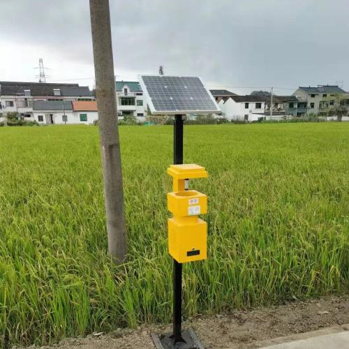 Wind suction solar insecticidal lamp RYFX-40