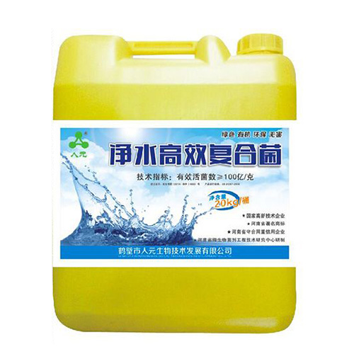 Water body clean efficient compound microbe